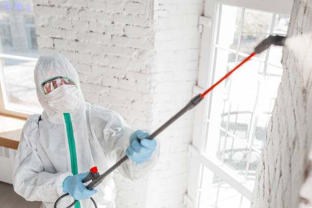 Best Mold Prevention Services  in Tlassee, AL
