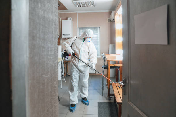 Trusted Tallassee, AL Mold Removal Experts