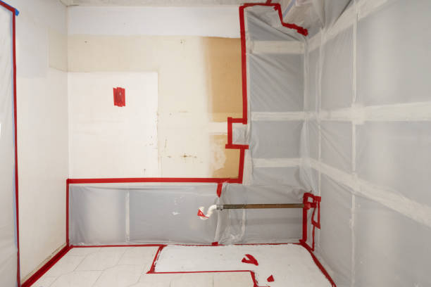 Best Black Mold Removal  in Tlassee, AL