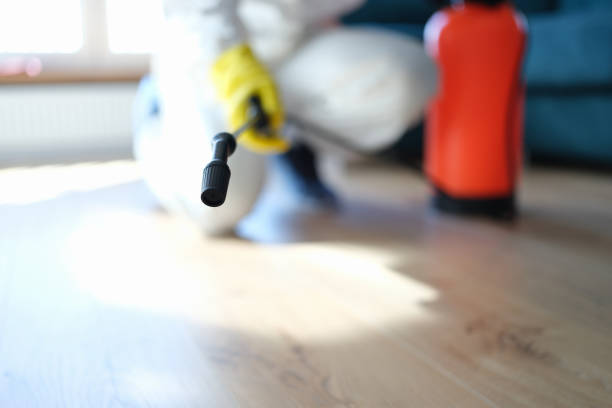 Best Basement Mold Removal  in Tlassee, AL