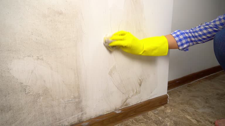 Best Airborne Mold Testing  in Tlassee, AL