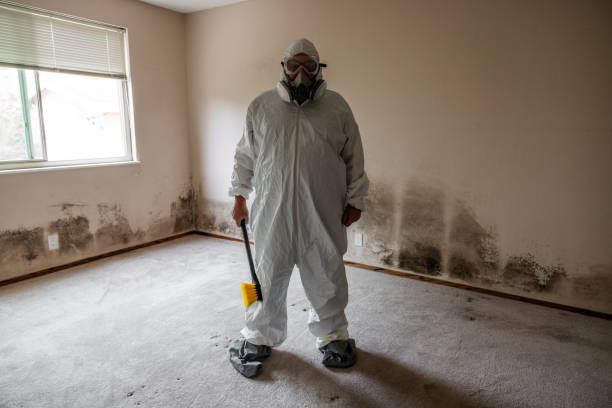 Best Real Estate Mold Inspection  in Tlassee, AL