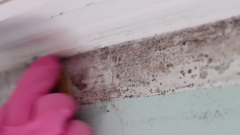 Best Residential Mold Inspection & Testing  in Tlassee, AL
